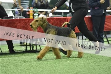 163793_bkn_01__BKN8960.JPG