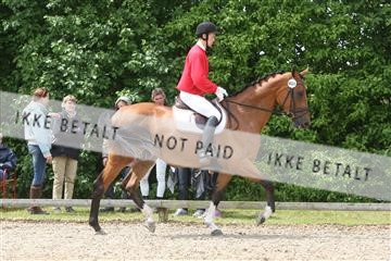 135518_ms_01_IMG_1513.JPG