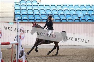 174047_kbb_01_R6II6838.JPG