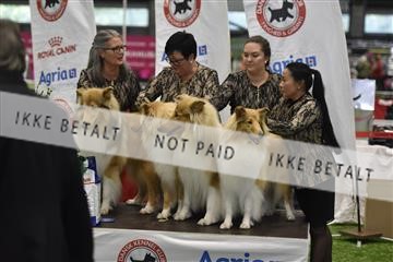163793_bkn_01__BKN7114.JPG