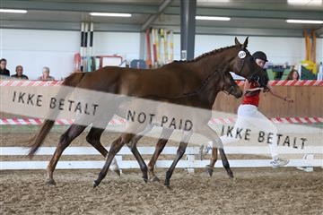 181756_mtp_03_R62_2935.JPG