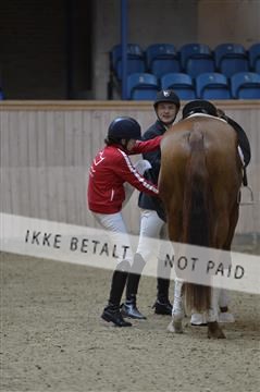 160111_nn_01__ESK1768.JPG