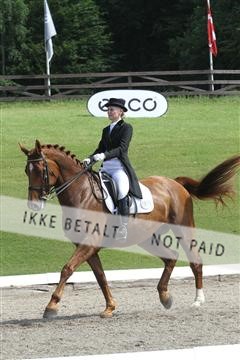 135676_sg_01_IMG_8036.JPG