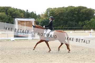 181894_mtp_02_R62_1190.JPG