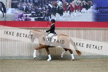 181887_mtp_04_R62_8156.JPG