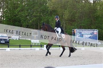 179330_avh_01_4936.JPG
