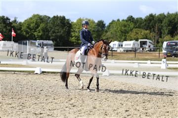 181894_mtp_05_R62_4912.JPG