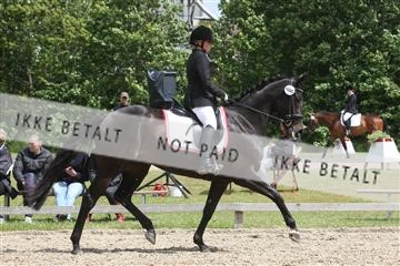 135518_ms_01_IMG_1854.JPG