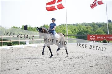 181449_kbb_02_6II1100.JPG