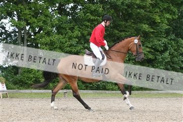 135518_ms_01_IMG_1527.JPG
