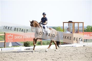 181449_kbb_02_6II1280.JPG