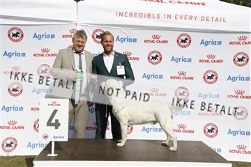 181848_kar_01__62_4284.JPG