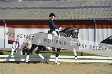 136195_abo_01__AB16633.JPG