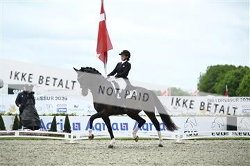 181449_kbb_03_Z091984.JPG