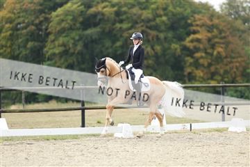 181894_mtp_04_R62_3733.JPG