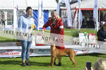 175267_bkn_01__JBR2549.JPG