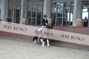 181852_mtp_05_R62_3179.JPG