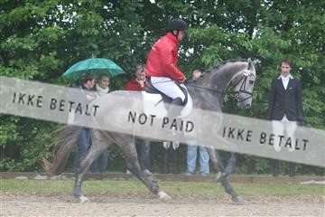 135518_ms_01_IMG_1088.JPG
