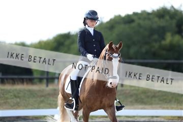181894_mtp_05_R62_4844.JPG