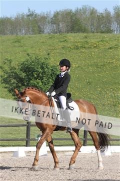 135086_sg_01_IMG_1717.JPG