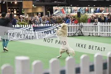 162816_bkn_01__BKN4439.JPG