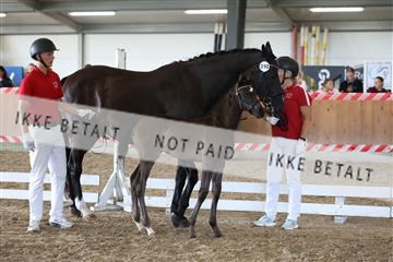 181756_mtp_03_R62_2650.JPG