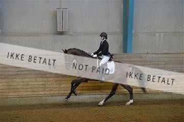 144288_abo_01__AB21827.JPG