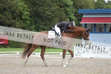 181957_mtp_01_3M5A7749.JPG