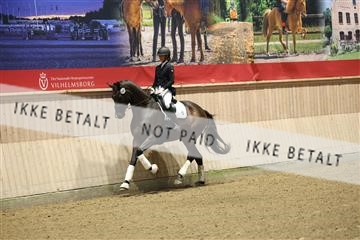 175676_avh_01_R62_4354.JPG