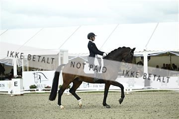 181449_kbb_03_Z091686.JPG