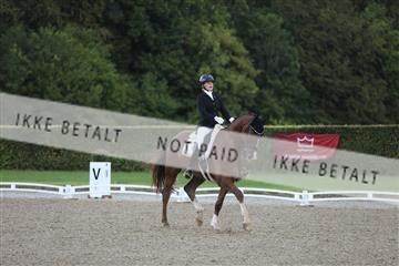 181957_mtp_01_3M5A8054.JPG