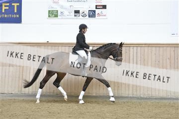 160111_nn_01__ESK1590.JPG
