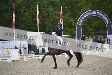 181449_kbb_04_Z094320.JPG