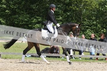 135518_ms_01_IMG_1886.JPG