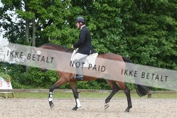 135518_ms_01_IMG_1310.JPG