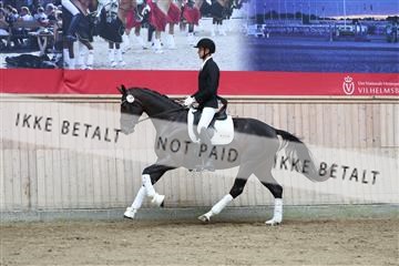 181887_mtp_01_R62_7183.JPG
