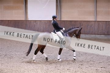 173821_mtp_01_3M5A8599.JPG