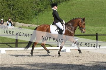 135086_sg_01_IMG_1816.JPG