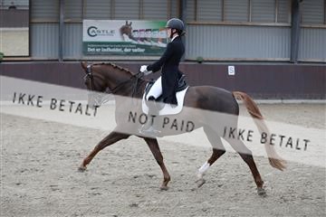 171210_mtp_01_3M5A6636.JPG