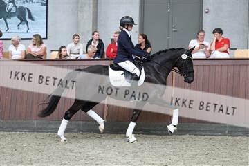 181852_mtp_05_R62_3333.JPG