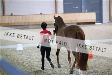 175139_bc_02_R62_4191.JPG