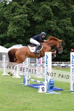 181805_mlm_01_R62_4220.JPG