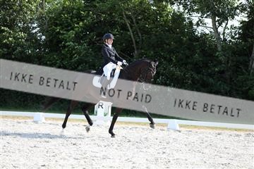 172073_mtp_01_3M5A4845.JPG