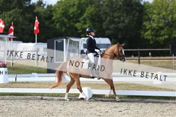 181894_mtp_05_R62_5031.JPG