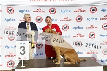 181848_kar_01__62_4500.JPG