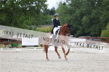 181923_mtp_01_R62_6182.JPG