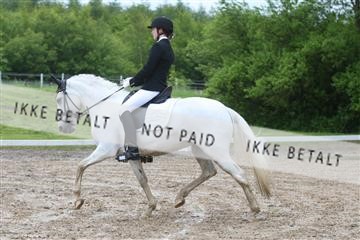147698_nn_01_IMG_8808.JPG
