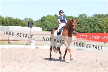 181449_bc_01R62_5849.JPG