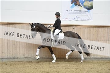 160111_nn_01__ESK2035.JPG
