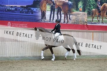 181887_mtp_02_R62_7768.JPG